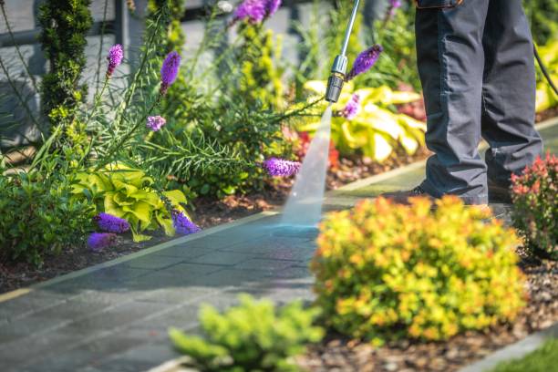 Best Pool Deck Cleaning  in Forest Park, GA